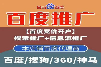 SEM主管的角色与职责：成功案例解析